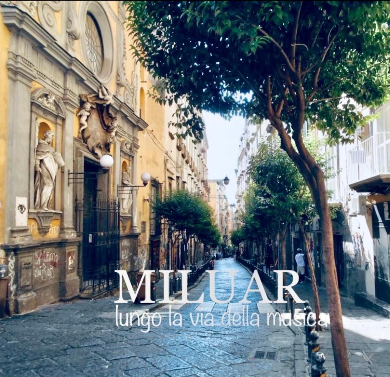 Miluar - Centro Storico - Lungo La Via Della Musica Bed and Breakfast Napels Buitenkant foto